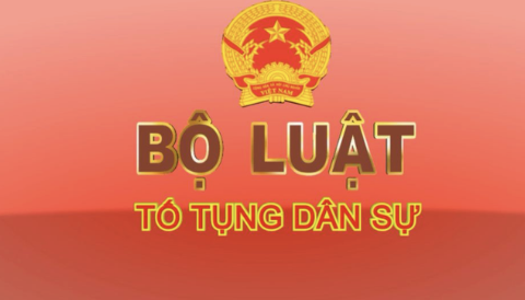 Luật tố tụng dân sự
